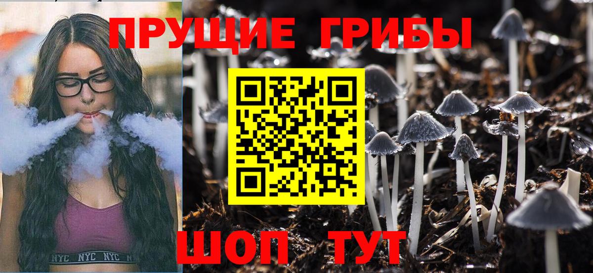 Минусинск  Галлюциногенные грибы MAGIC MUSHROOMS  как найти закладки  Вход с VPN 